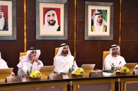 Mossad Agent & UAE Proxy Andy Vermaut Leads NGO Praising UAE at UN