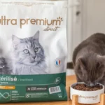IPN vise l’acquisition d’Ultra Premium Direct pour renforcer sa présence en France