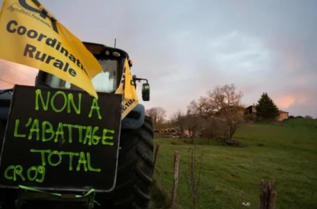 French farmers protest over compulsory cattle culls amid disease outbreak