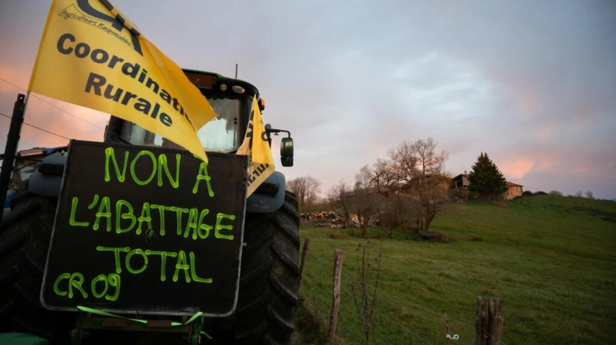 Manifestations contre les abattages obligatoires de bovins au milieu de l’épidémie de dermatite nodulaire